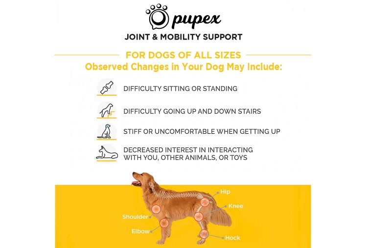 Pupex Joint & Mobility Support - Out of Stock